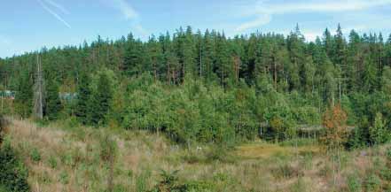 Sörbyhagen 244 Hässleberg Broängen Strömslund Orkaren Zinkgruvan Zinkgruvan Mecksj.