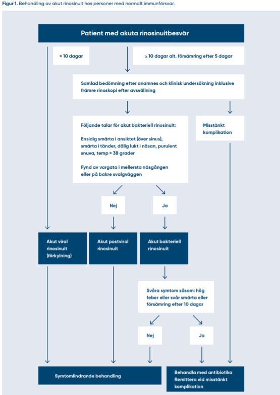 eller annan komplikation ska föranleda akut remiss till specialistvård. Vid terapisvikt bör diagnosen omprövas.