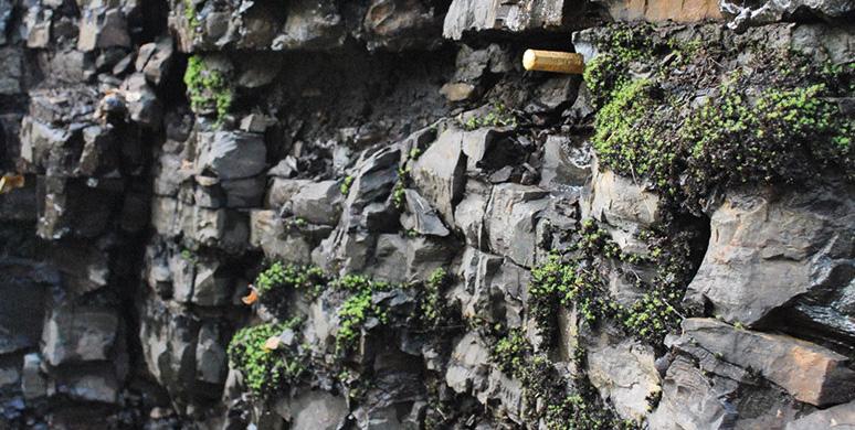 Floutsikten Platåbergens Geopark - lager av historia En geopark är ett område med geologi av internationell