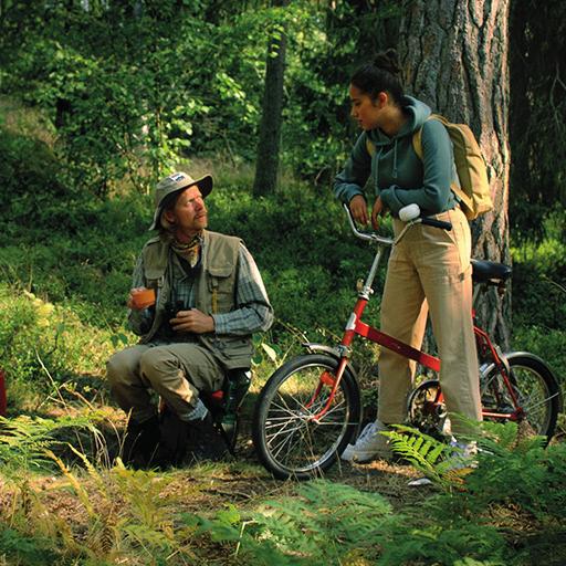 Motordrivna fordon är alla slags fordon som drivs med motor till exempel bilar, motorcyklar, fyrhjulingar, mopeder, snöskotrar, traktorer och andra motorredskap. VAD MENAS MED TERRÄNG?