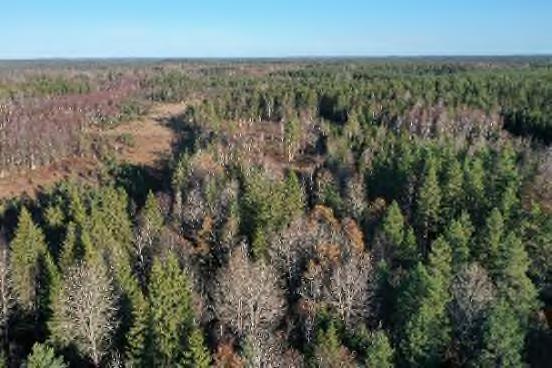 fastigheten. En fornlämning finns registrerad på fastigheten, avdelning 7 i skogsbruksplanen (Källa Skogsstyrelsen och Riksantikvarieämbetet).