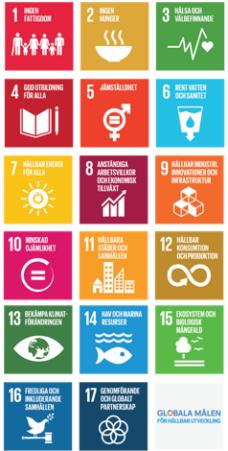 6 ( 15 ) Globala, nationella och Värnamo kommuns mål Världens ledare har enats om Agenda 2030, bestående av 17 globala mål som till år 2030 ska leda världen mot en hållbar utveckling.