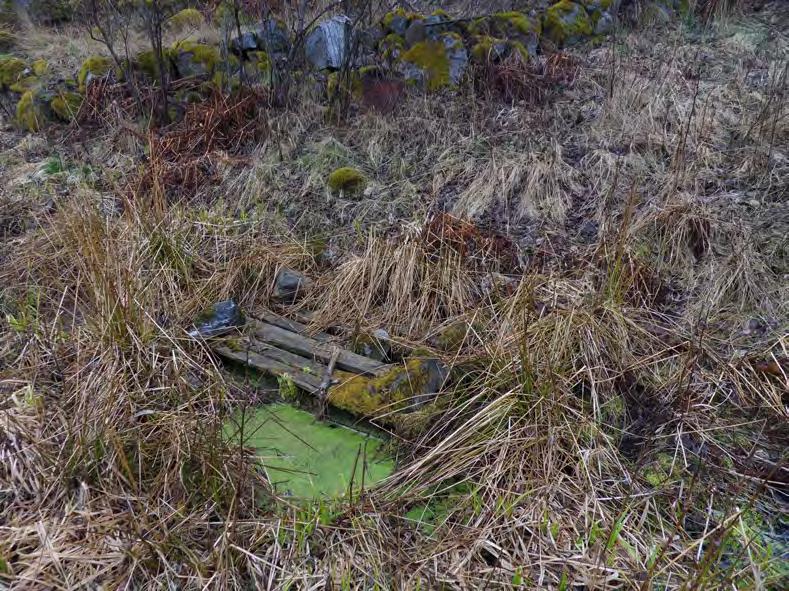 Källflöde utmed väg och åsfot Beskrivning av naturförhållanden Delområdet består av en bård av fuktigare mark intill vägen som går utmed åsens västra sida.