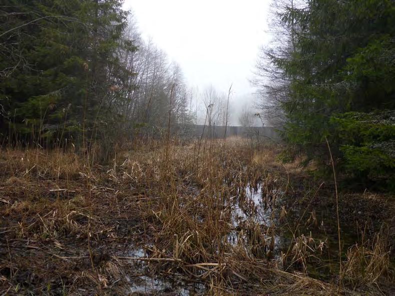 Naturvärdesobjekt 3. Mindre våtmark öster om åsen Beskrivning av naturförhållanden Delområdet består av en mindre våtmark som är stadd i igenväxning.