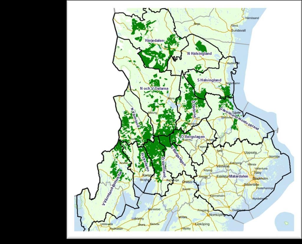 Skogen Stora Enso Skog AB förvaltar markerna som ägs av Stora Enso Skog och Mark AB. Sammanlagt äger Stora Enso Skog och Mark ca 1,4 miljoner hektar.