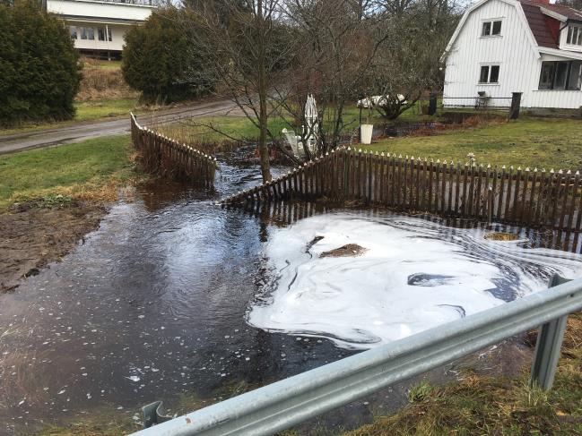 Bäcken vid 7:34. Närhet till lantbruksfastighet Omkring 22 fastigheter ligger inom 500 meter från en lantbruksfastighet, belägen väster om planområdet.