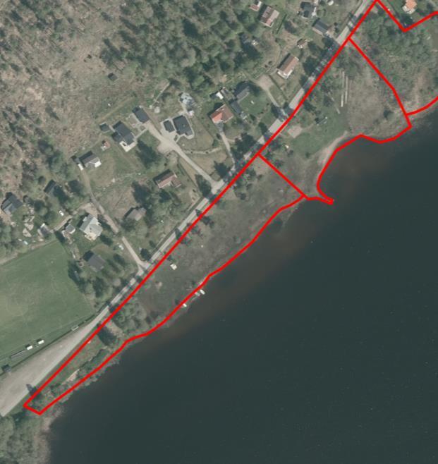 Strandmiljön inom planområdet är till stor del gräsbevuxen. Det finns blottor på sina ställen där sand exponeras samt dungar med främst björk och tall.