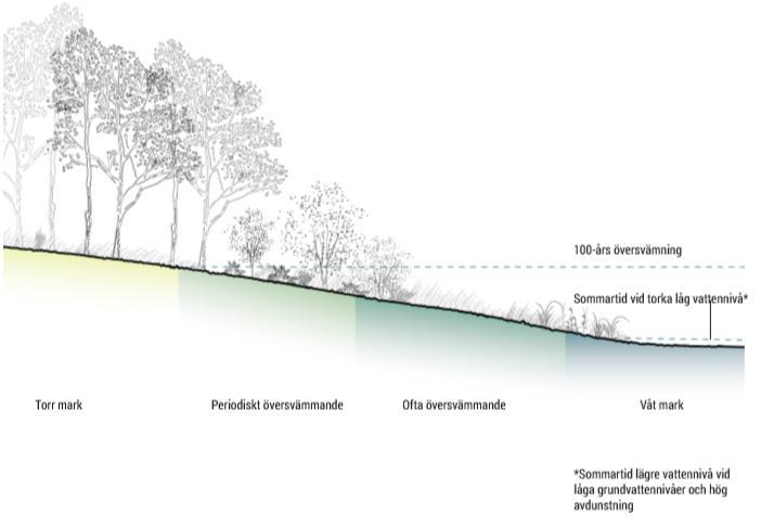 Strandskyddets syfte handlar vidare om att trygga allmänhetens tillgång till strandområden och bevara goda livsvillkor för djur- och växtlivet.