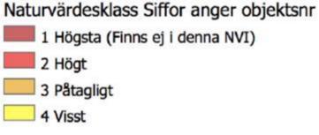 I den framtagna naturvärdesinventeringen (Rosenqvist, A. (2016).