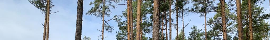 Belägenhet Nusnäs 461:1 omfattar 4 skiften.