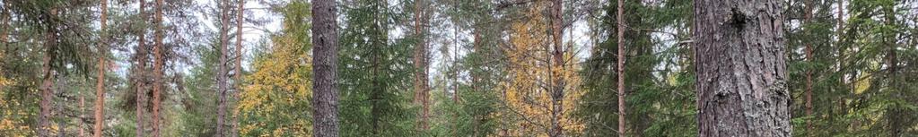 Rastkoja/förråd En mindre rastkoja/förråd finns på