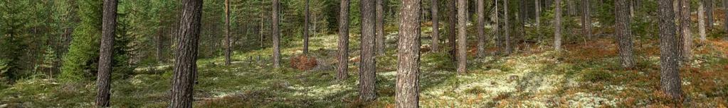 Skifte 4 är ett mindre skifte i Fudalen.