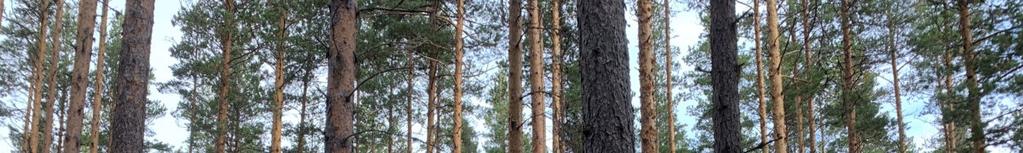 inom Nusnäs viltvårdsområde, omfattade ca 4 500 ha.