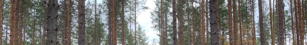 Pantbrev och inteckningar Fastigheten är gravationsfri.