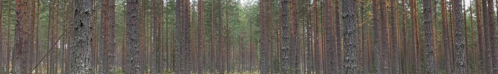 Rättigheter-förmån: Väg (Officialservitut). Rättigheter-förmån: Väg (Officialservitut).