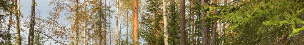 Samfälld vägmark, vattenområde, tomt, barnbassäng, grustag, tröskplats,