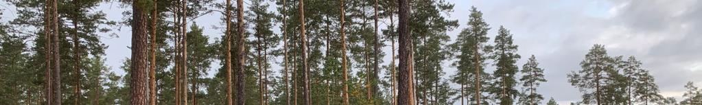 hösten). Frågor kring Nusnäs ga:8 besvaras av Göran Eriksson, 070-340 34 54. Se även: http://nusnasvag.blogspot.