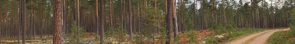 Försäljningsförfarande Försäljning av fastigheten sker genom skriftligt bud. Säljaren förbehålls fri prövningsrätt.