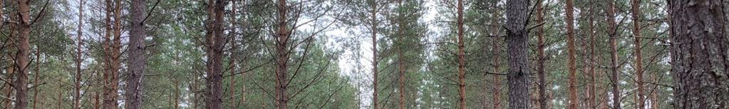Avvikelser från verkliga förhållanden kan således förekomma både i enskilda bestånd samt summan av dessa på grund av
