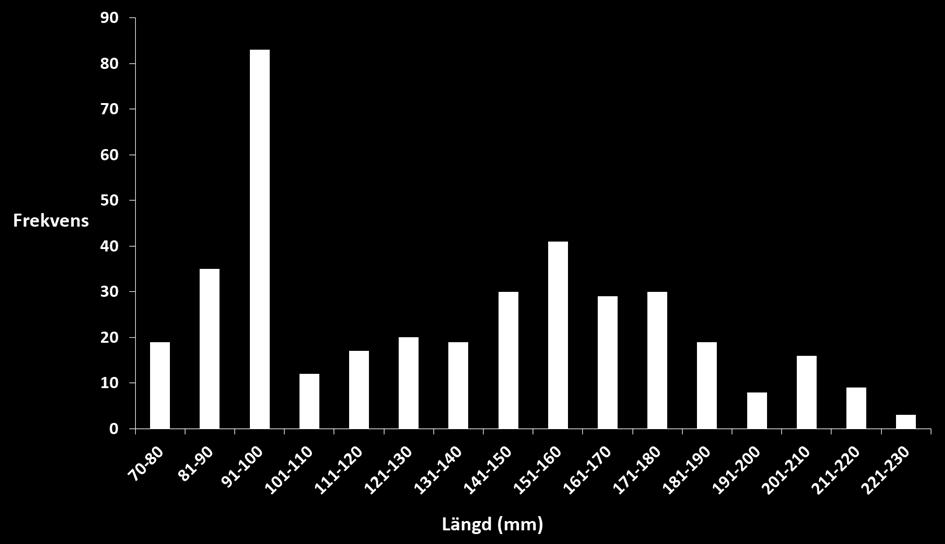 sutare 120 ±1111g och för sik 4 ±61g. I figur 5 visas längdfrekvenserna för abborre i sjön och här kan man se att rekryteringen fungerar. Figur 1.