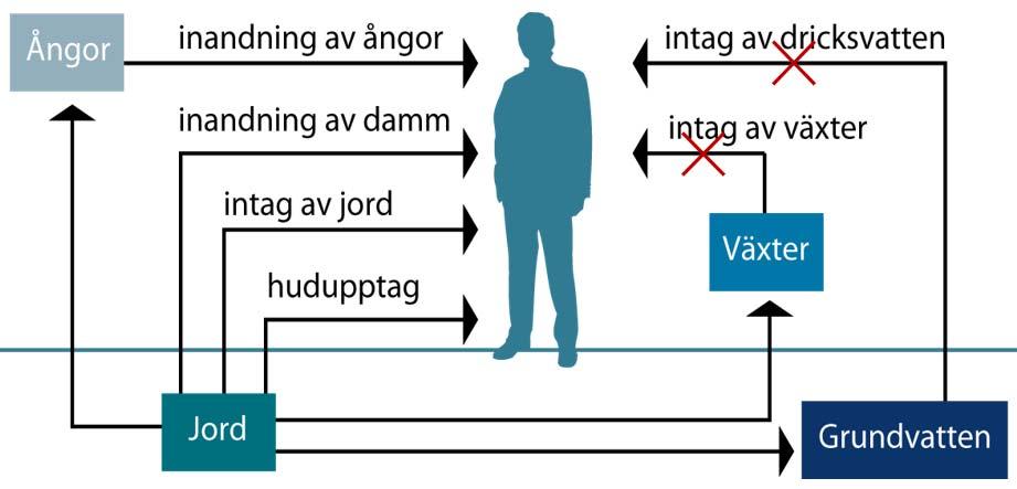 2020-06-01 s 26 (34) 6.3.3. Människor Människor som kommer vistas på fastigheten kan exponeras för föroreningar via inandning av ångor från mark och byggnad samt via direktkontakt med jord/betong.