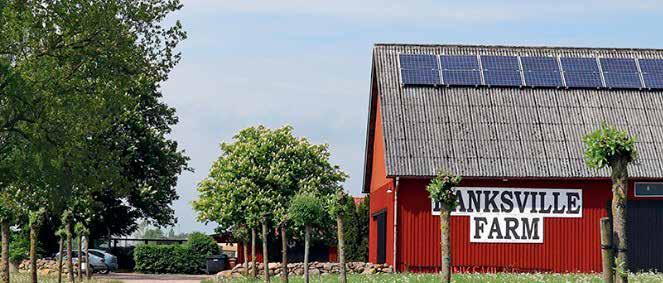 tillbaka. Ny dag och nya möjligheter.