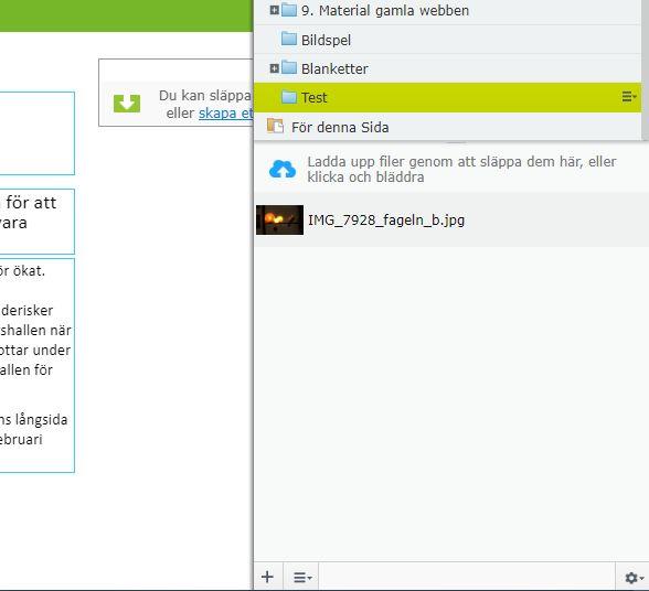 Bilder och mediearkiv För att ladda upp bild eller fil, klicka på Media till höger i mappstrukturen Leta reda på rätt sida i strukturen (motsvarande där din sida ligger i strukturen till vänster.