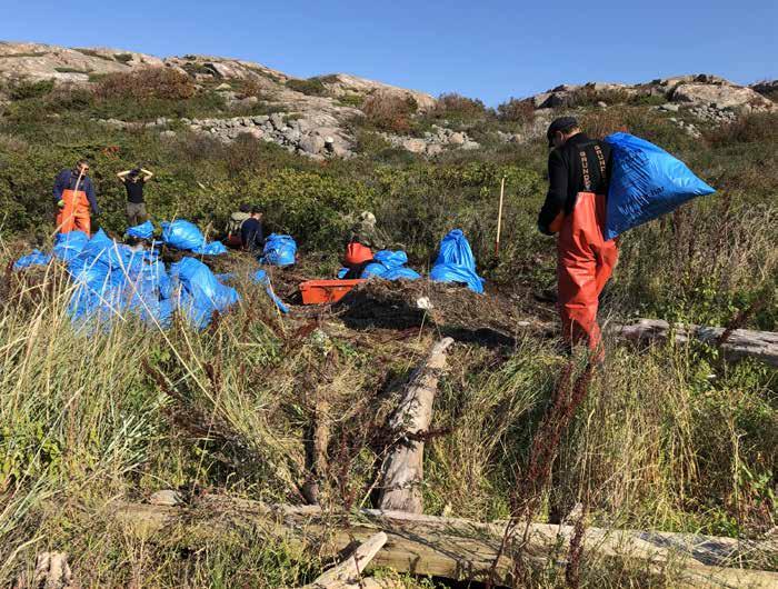 Kommunernas insatser Det mellankommunala samarbetet har medfört ökat kommunalt engagemang i strandstädningen.