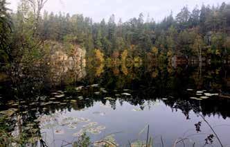 NATURRESERVAT OCH FRILUFTSOMRÅDEN NATURRESERVAT OCH FRILUFTSOMRÅDEN Naturreservat visar områden där Stiftelsen äger mark Anfastebo Ale Skarsdalsbergen Bengtsfors Bergsjön Ale Skåpenäs Bengtsfors