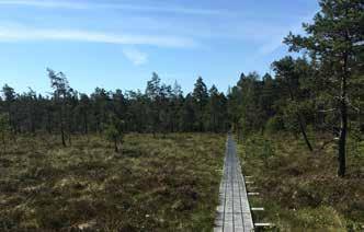 NATURRESERVAT OCH FRILUFTSOMRÅDEN NATURRESERVAT OCH FRILUFTSOMRÅDEN Naturreservat visar områden där Stiftelsen äger mark Naturreservat visar områden där Stiftelsen äger mark Alvö Sotenäs Anneröd