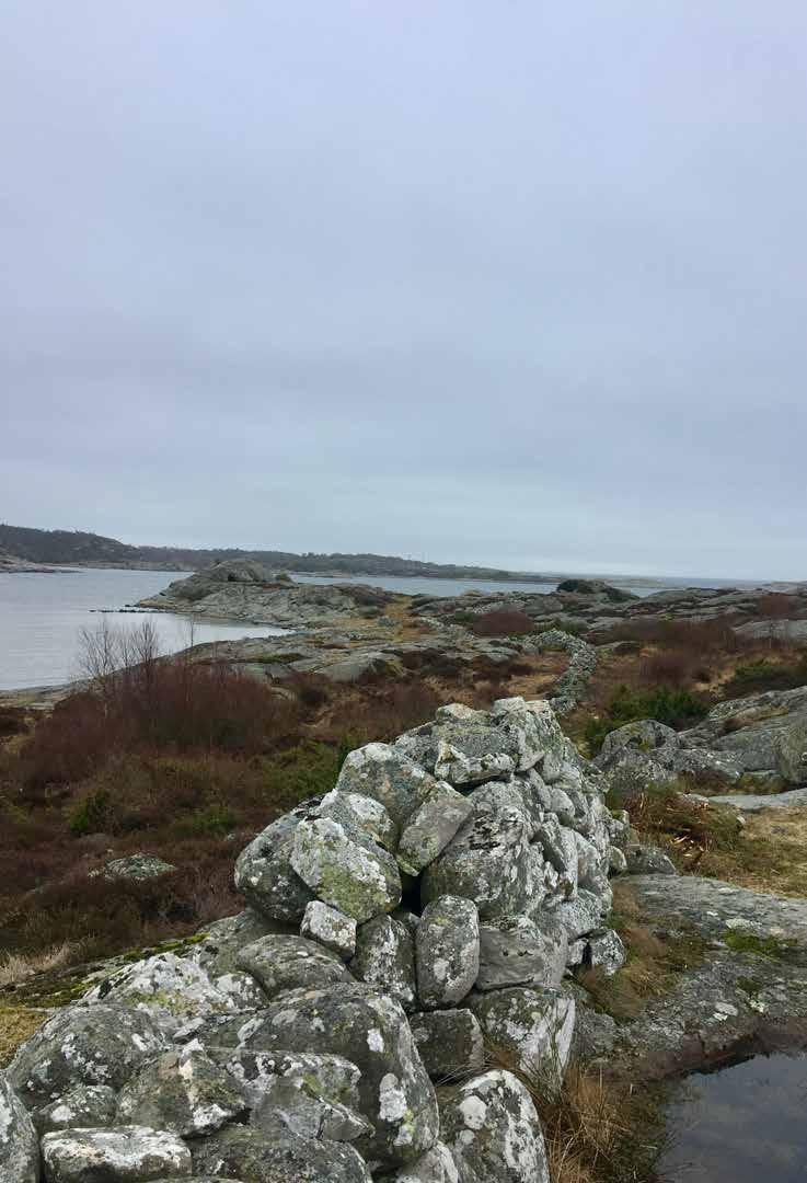 Stiftelsen under 2019 Huvudmän Västra Götalandsregionen, VGR Region Halland Göteborgsregionens Kommunalförbund, GR VGR Eva Carlsson (S), vice ordförande Rolf Berg (S) Lars-Arne Staxäng (M) Tommy