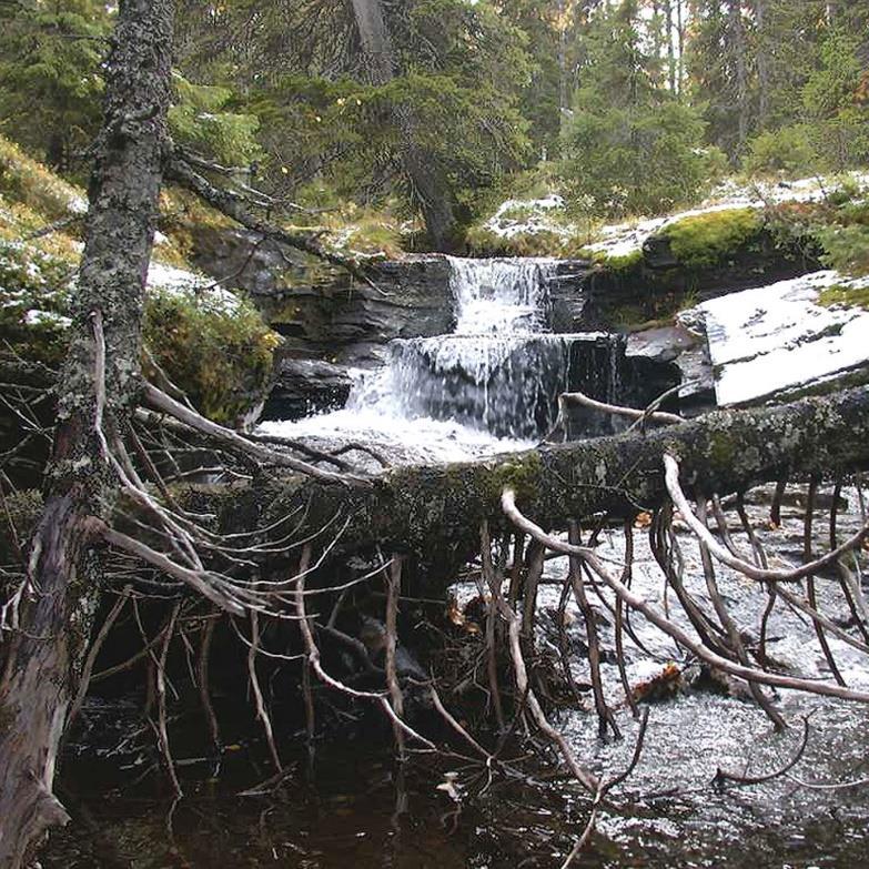 1 / 12 Beslut Datum 2020-06-22 511-8920-2019 Dossiénr NVR2052523 Dnr (anges vid skriftväxling) Beslut för bildande av naturreservatet Ansättån Uppgifter om naturreservatet Naturreservatets namn: