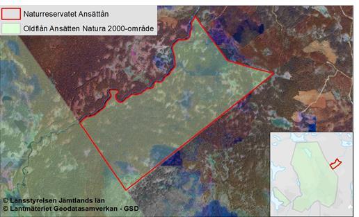 5 / 9 Figur 1. Karta med naturreservatet Ansättån gräns samt område som omfattas av Natura 2000 (Oldflån Ansätten SE0720160).