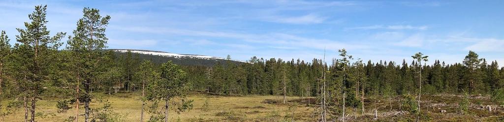 kringliggande vägdiken och att en ledning av något slag finns nedgrävd