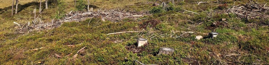 Hela området ingår i ett ganska diffust våtmarksområde i klass IV vissa