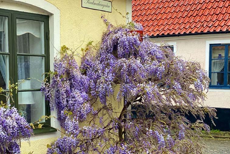 Onsdag 31/3 fredag 3/4, Österlens museum: Pysselpåse till försäljning Vår museipedagog har gjort iordning pysselpåsar med material för påskpyssel hemma.