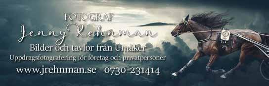 och svart ärm; svart Ricky Eklund Ly 30/6-9 7/2160 4 16,7 c c 65,38 40' Ricky Eklund (Pernilla Nordlund) Ricky Eklund Sä 31/7-7 12/2140 0 16,1 c c 70,60 25' Chansvärdering: 8-7-6-1 MATFÖRSÄLJNING