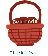 i er vardag? I vilken korg bör dessa beteenden placeras?