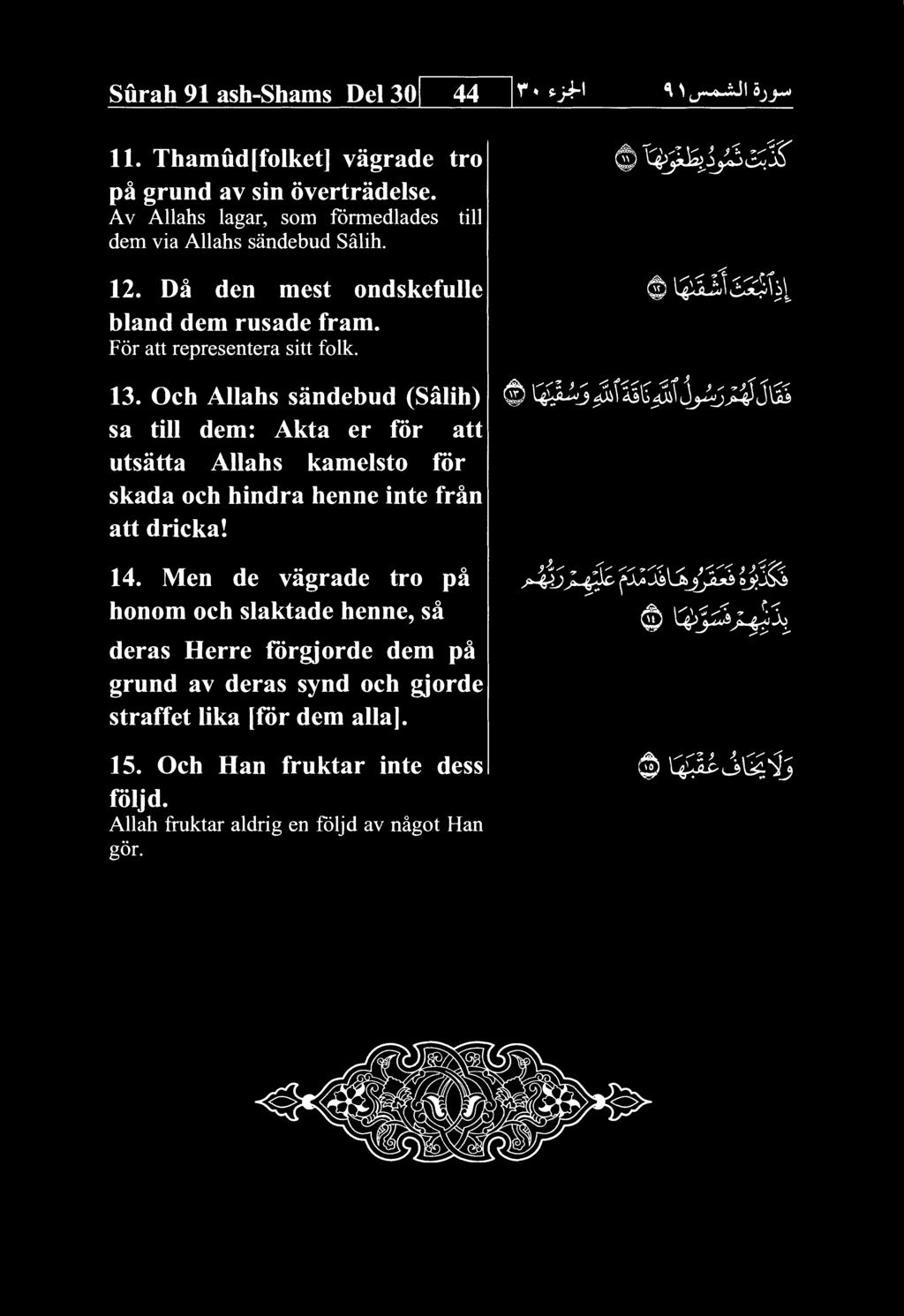 13. Och Allahs sandebud (Salih) sa till dem: Akta er for att utsatta Allahs kamelsto for skada och hindra henne inte fran att dricka! 14.