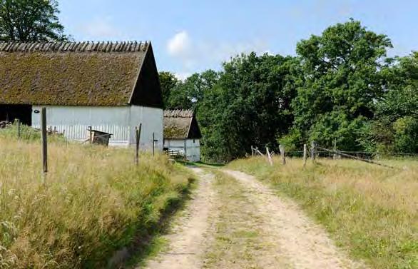 på bevarade strukturer som kan berätta om den historiska utvecklingen.