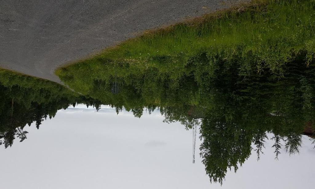 C. Markanvändningen liknar område C, med sly i den östra delen. Den västra delen utgörs av mindre delar av bränsleplanen samt vägområde och en del av den yta som används som snöupplag.