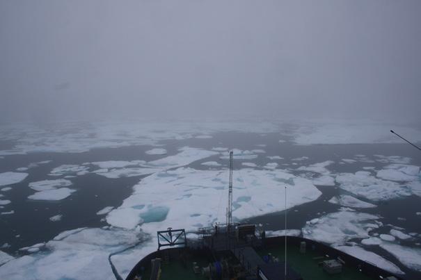 Figur 5. Tät dimma i fjorden. Fotograf Sara Johansson. Vädret Över Grönland återfinns på grund av inlandsisen ett högtrycksområde vilket verkade relativt stabiliserade på väderbilden.