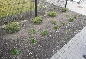 Verandagatan Den andra verksamheten som utvärderades var LSSboendet Verandagatan i Malmö.