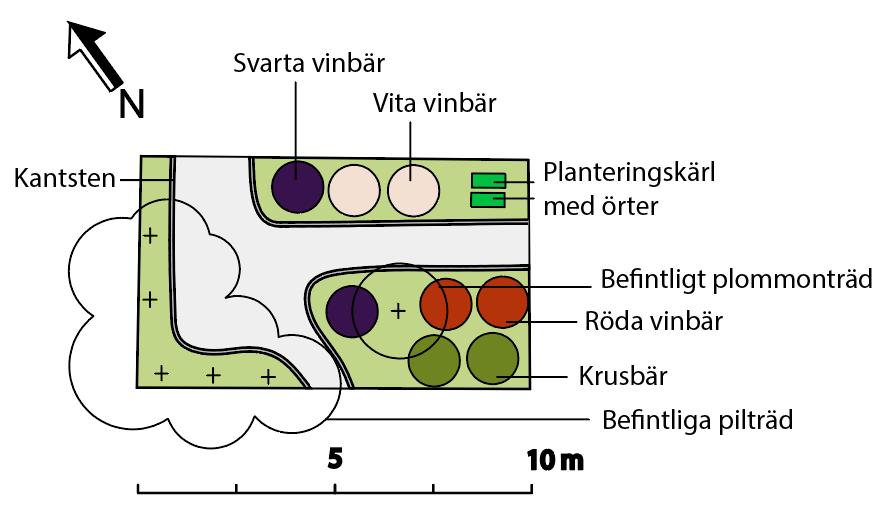 grusgångarna i Westerbergs sinnesträdgård. Ytans gestaltning finns att se i plan i figur 58, samt illustrerad i figur 59. 1 : 250 Figur 58. Illustrationsplan över Smakrabatten Figur 59.