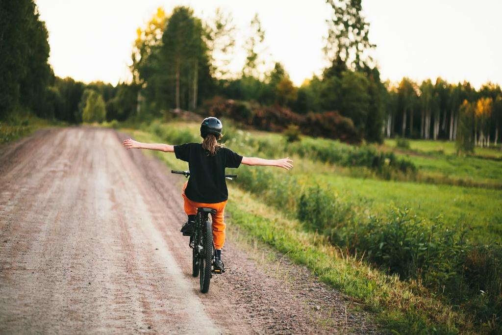 ndivid- och familjenämndens Uppdragsplan och budget