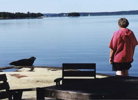 Vinter eller sommar, Glipen är alltid en avkopplande