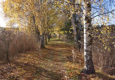 Från Marby till Unnerstad går en vall som byggdes av lantbrukaren i mitten av 1980-talet. Vatten pumpades ut i Bråviken så att mer mark kunde brukas. Vatten pumpas inte ut längre.