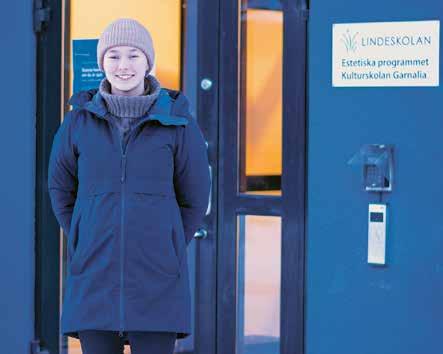 «de flesta kulturskolelärarna i Garnalia är också grundskolelärare, och deras chef Erik Lundqvist är kulturskolerektor bland gymnasierektorer. jobbar också med kulturskolekurser.