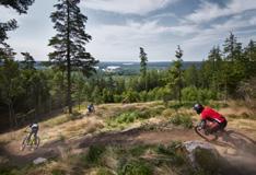 Tänk på att de flesta aktiviteterna bör bokas i förväg! MTB introduktions-, teknik- XC- och flowledskurser Missa inte möjligheten att utvecklas som MTB-cyklist.