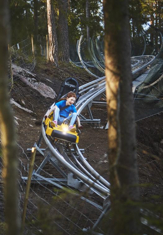 Succé för nya Rodel Adventure! Vår unika rodelbana överträffar alla våra förväntningar.